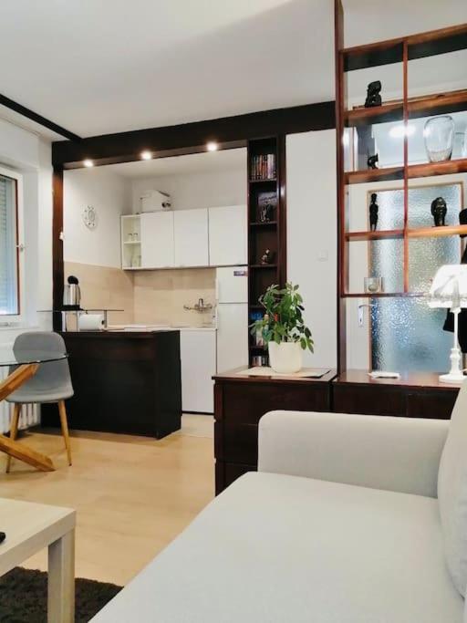 Apartamento Dorcol Hideaway Belgrado Exterior foto